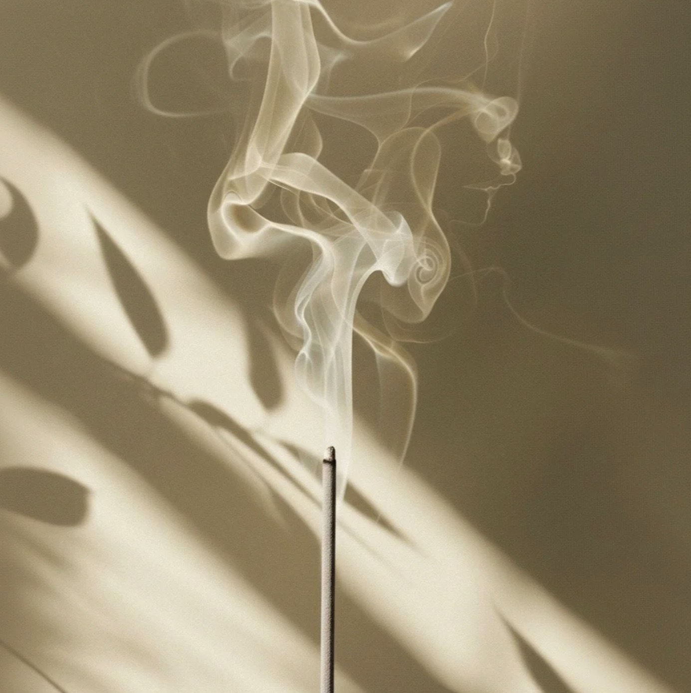 Incense smoke rising in soft light with leaf shadows on the wall