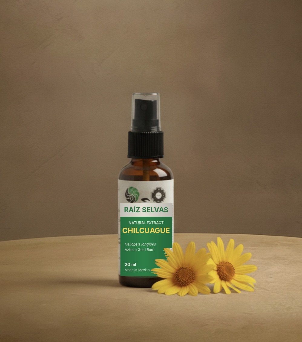 Chilcuague extract spray bottle by Raíz Selvas beside two yellow flowers
