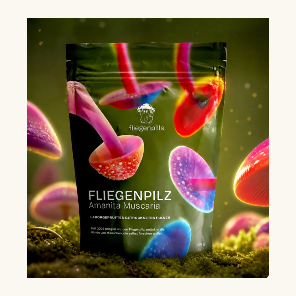 Fliegenpills focus support